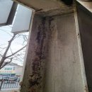 세종고용복지플러스센터 이미지