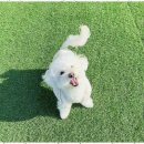 놀루오숑 네이버블로그