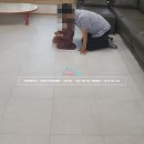 관저 예미지 이미지
