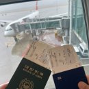 123 | [신혼여행 01] 인천-취리히 직항 스위스항공 LX123 비즈니스 클래스 후기
