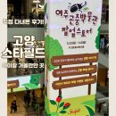 고양 스타필드 아이랑 여주 곤충박물관 팝업스토어 방문 후기 체험후기