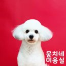 뭉치네 미용실 이미지