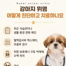 석적동물병원 네이버블로그
