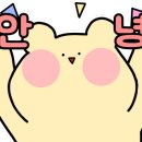 컬러인웨딩 이미지