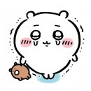 조인국제결혼 | 군산 2일차ㅣ군산아 제발 밥 좀 줘 (feat. 2025 군산 북페어)