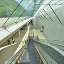 2026년 4월 19일 일본 등나무 축제와 미술기행 5일. 출발확정. 모객중 이미지