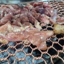 토지촌