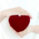 더 소중한 여성의원 이미지