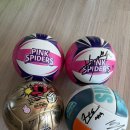 한국도로공사 앞-B(우측) | 🏐 2025-2026 V-리그 여자부 포스트시즌 챔피언결정전 1차전 직관 후기 (한국도로공사 vs GS칼텍스)