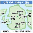 강화 특산물 - 사자발 약쑥 이미지