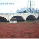 전곡항 공원 이미지