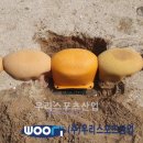 도둔초등학교 이미지
