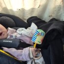 마왕손만두 | [2/14 '26~2/18 '26] 4개월 아기, 또복이와 보낸 첫 명절