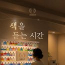 마노벨라