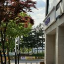 천안 백석동 소로르헤어 초등 남자아이 커트 내돈내산 후기
