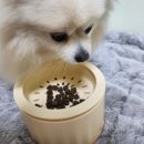 꼬믈리 이미지
