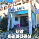 아리바다 | 태안 오션뷰 아리바다펜션 터틀3 후기