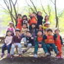 춘천YWCA어린이집 이미지