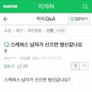티식스
