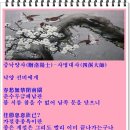 낙양사 이미지