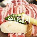 씅난돼지 - 진주시 초전북로61번길 25-8 | [초전동맛집]진주 삼겹살 맛집 씅난돼지 회식 후기