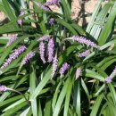 윤해한의원 이미지