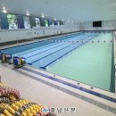 당진교육문화스포츠센터 수영장 이미지