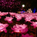 이월드아카데미 이미지