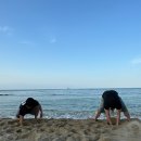세림노래방 | 바쁜 일상 속 얼레벌레 살아가는 나의 모습