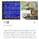 니블컴퓨터 이미지