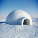 돈앤카우 이미지