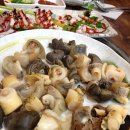 박지연명품생태 이미지