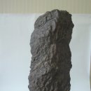입석 Daum카페
