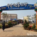 무안시장(무안임시시장) 이미지