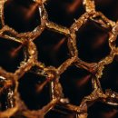 꿀벌의 유럽부저병(European Foulbrood, EFB) 치료 방법 이미지