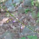 양산갈고리 이미지