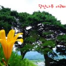 내송마을회관 이미지
