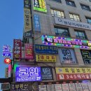 신나쏭코인노래연습장 이미지