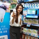 파이 코리아