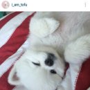 네일메이커 - 광진구 아차산로31길 27 | 네일메이커