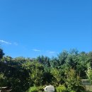 두레자연중학교 이미지