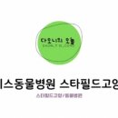 웰니스동물병원 스타필드 고양 이미지