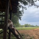 추경농장 이미지