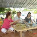 매전중학교 이미지