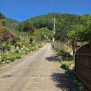 기반시설완료 토지1300평 전원부지 별장부지 쉼터부지 추천 이미지