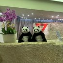 YMCA | [홍콩] 침사추이 호텔 추천, 더 솔즈베리 호텔 YMCA 오브 홍콩 후기 &amp; 장단점 | 파셜하버뷰룸