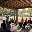 상록구 노인복지관 | 🍂 자연 속 힐링 가득! 안산 갈대습지공원 생태문화체험 후기