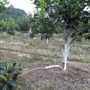 선행농원 이미지