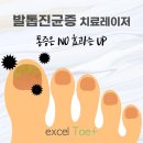 톰플러스 이미지