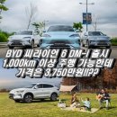 파워DC마트 | 쇼 3천만 원대 가성비 깡패의 등장! BYD 씨라이언 6 DM-i 실물 후기 (가격, 제원, 주행거리 총정리)